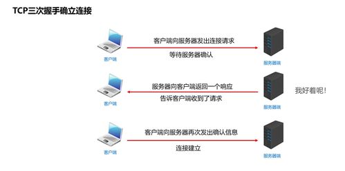 深入理解網絡通信三要素 IP、端口、協議及其在信息安全軟件開發中的關鍵作用
